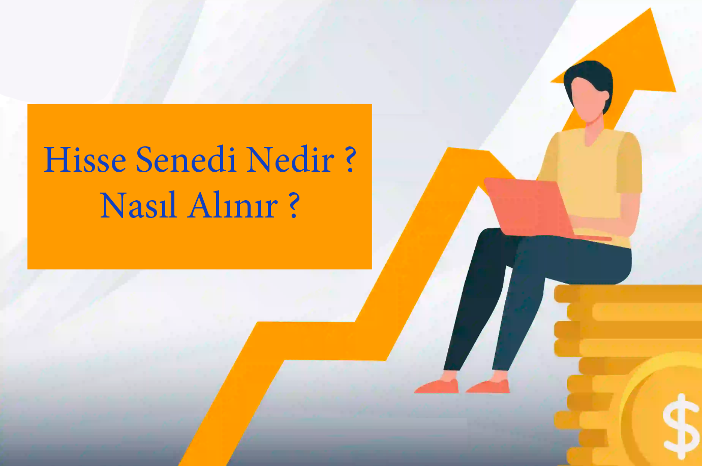 hisse senedi nasil alinir